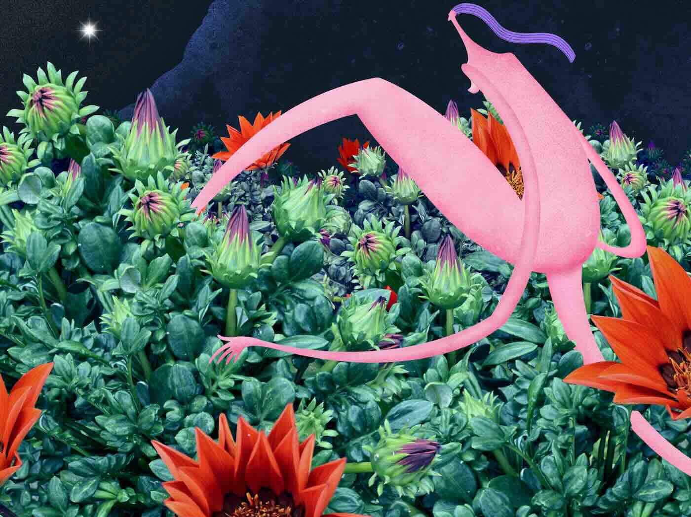 Tisk 18x24 - Volání