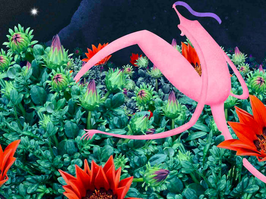 Print 18x24 - Calling