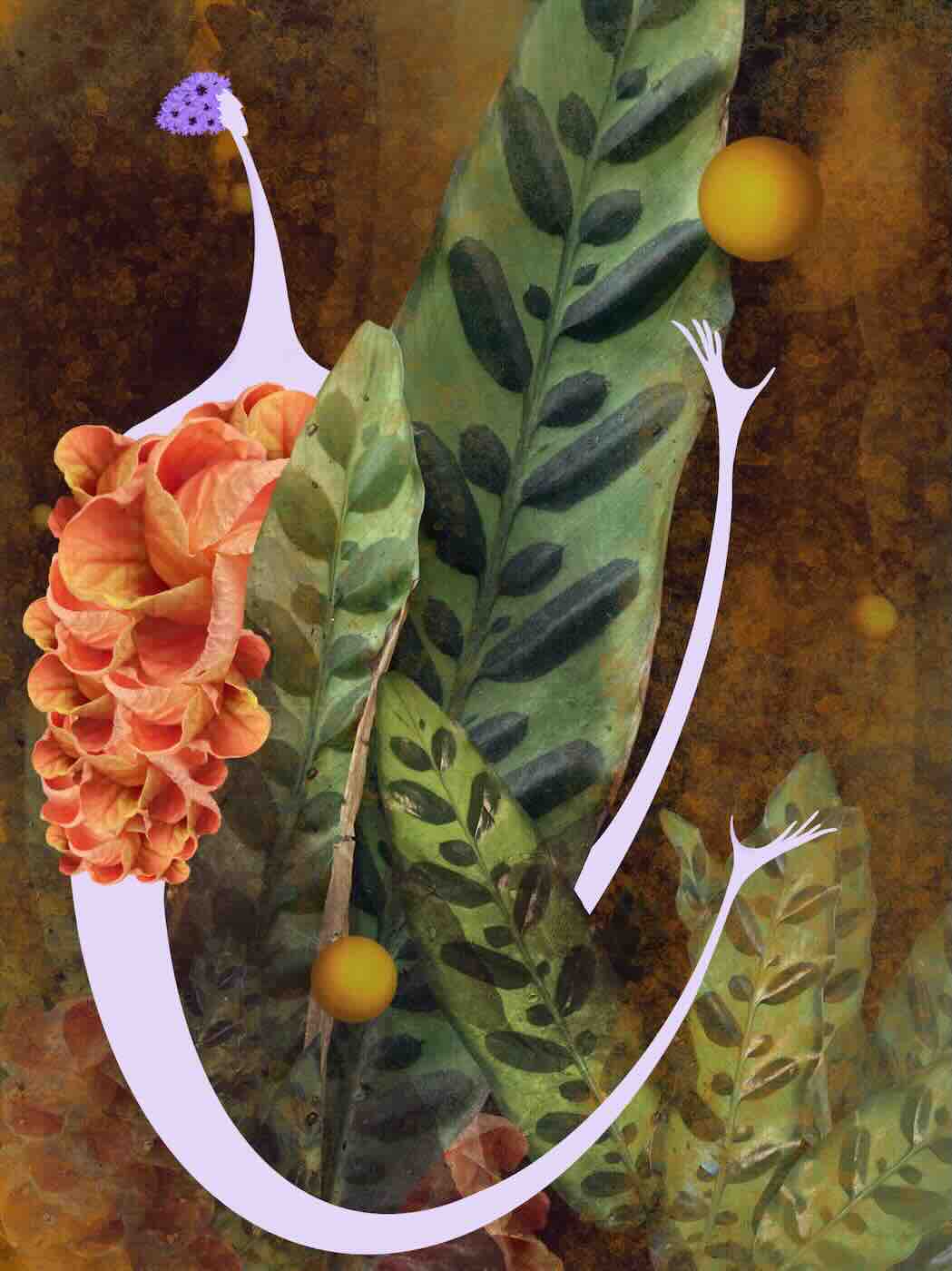 Print 18x24 - Intuition