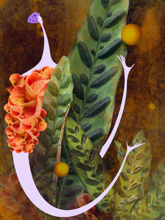 Print 18x24 - Intuition