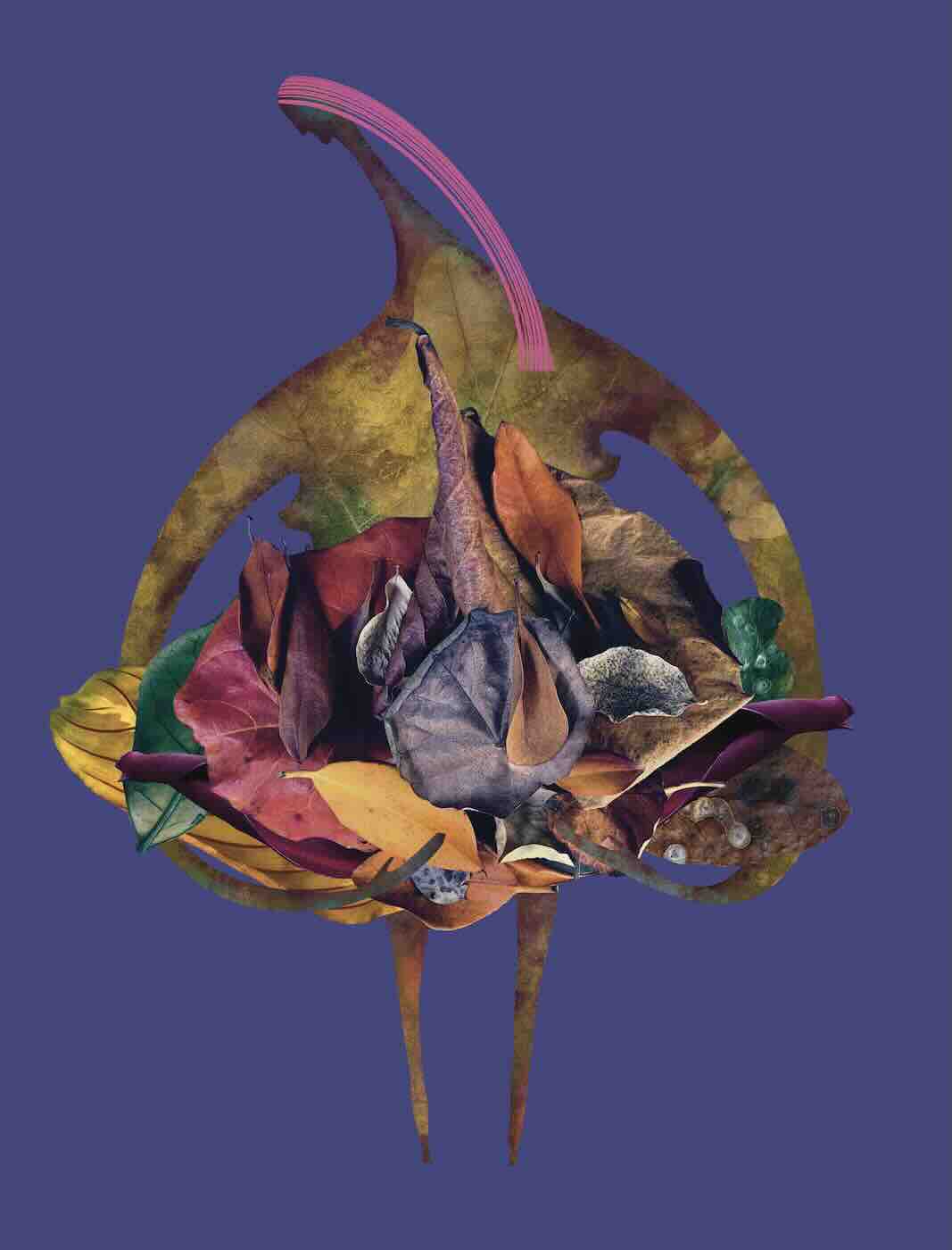 Tisk 18x24 - Laskavost